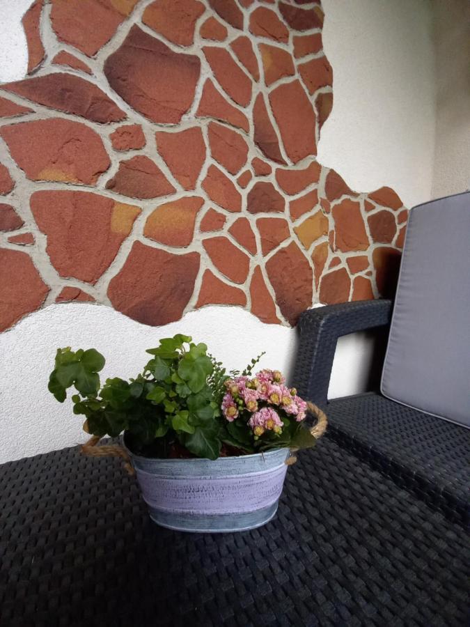 Apartmán Erika Bešeňová Esterno foto